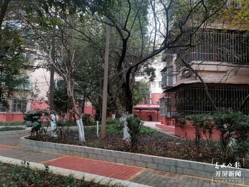 云南大范圍雨雪來(lái)了 未來(lái)幾天,昆明