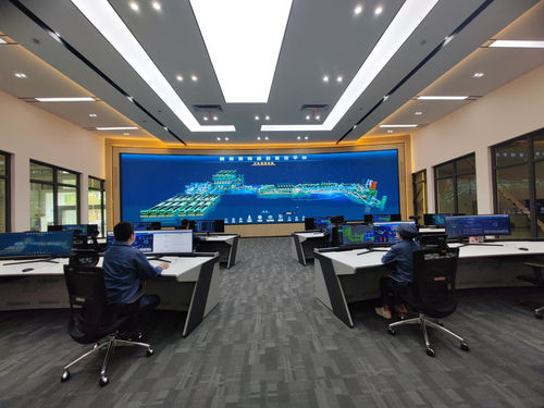 云南中煙大理卷煙廠構建全過程 智慧化 數字化 智能化復烤體系